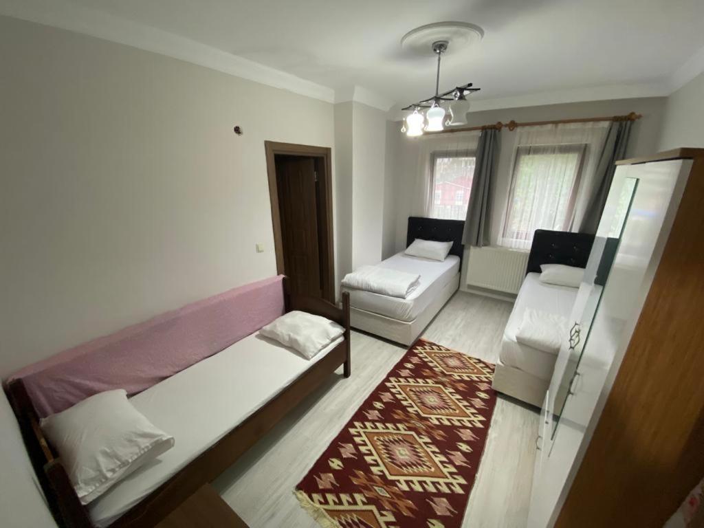 Aparthotel Talipoglu Apart à Uzungöl Extérieur photo