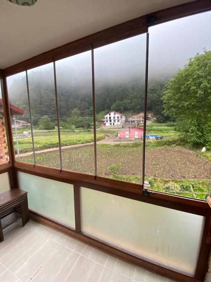 Aparthotel Talipoglu Apart à Uzungöl Extérieur photo