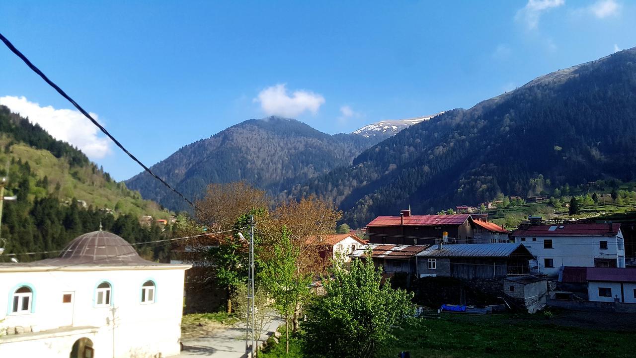 Aparthotel Talipoglu Apart à Uzungöl Extérieur photo