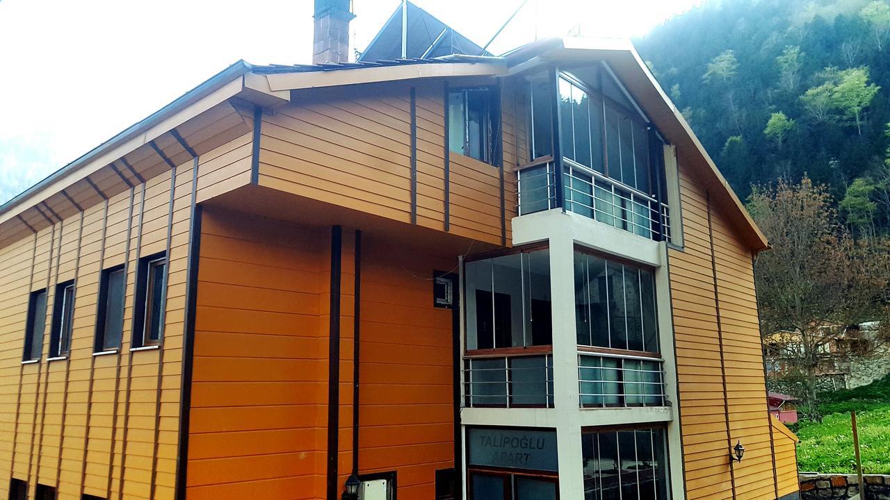 Aparthotel Talipoglu Apart à Uzungöl Extérieur photo