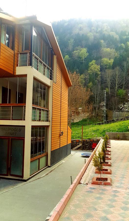 Aparthotel Talipoglu Apart à Uzungöl Extérieur photo