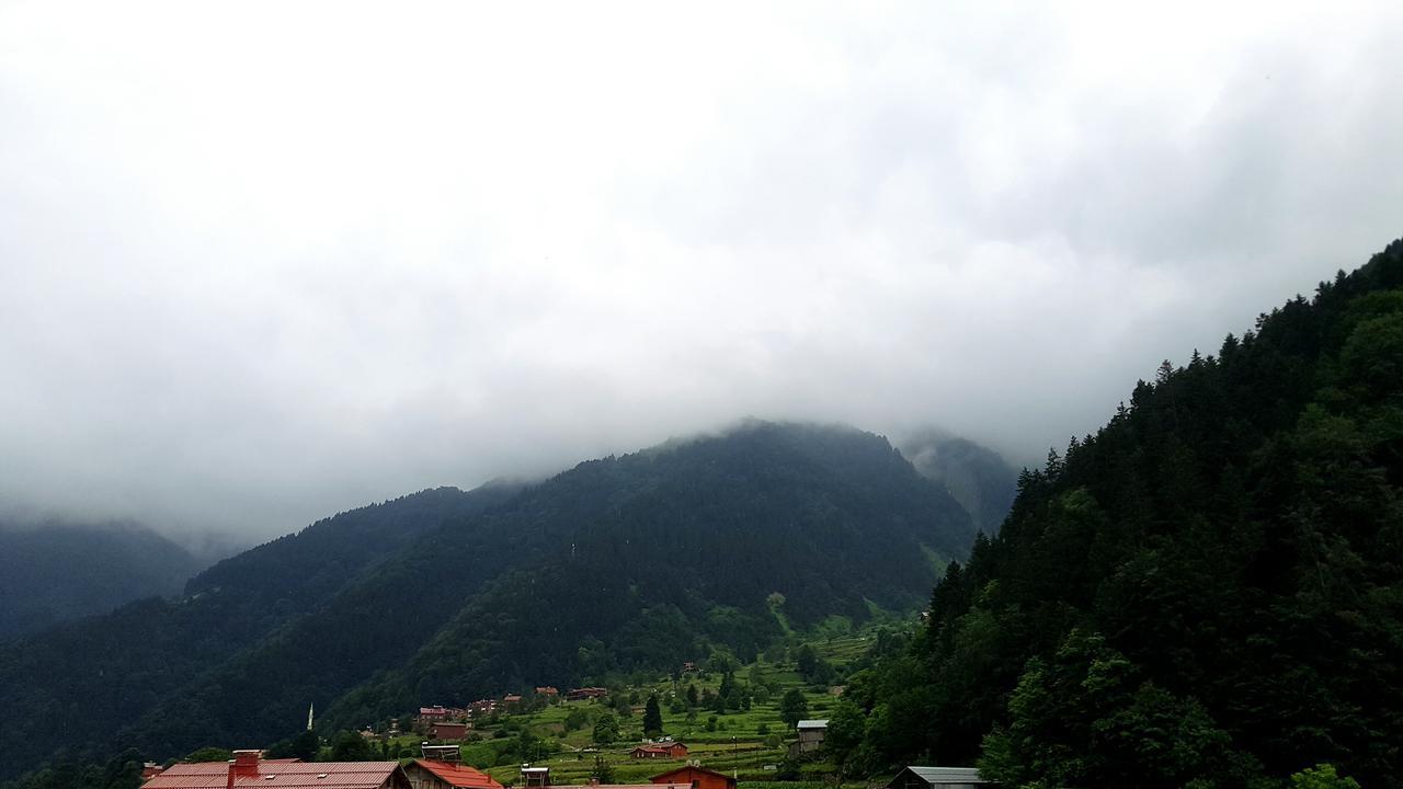 Aparthotel Talipoglu Apart à Uzungöl Extérieur photo